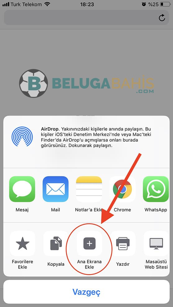 belugabahis Android